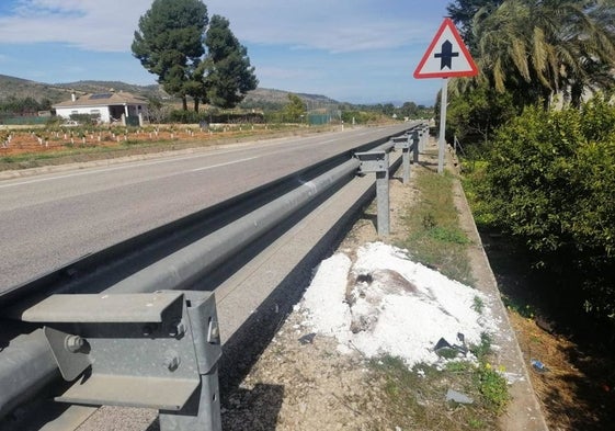 El jabalí, cubierto con cal, junto a la carretera, momentos antes de ser retirado.