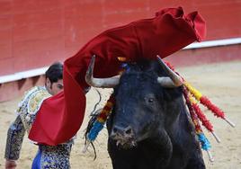 Una corrida de toros durante estas Fallas.