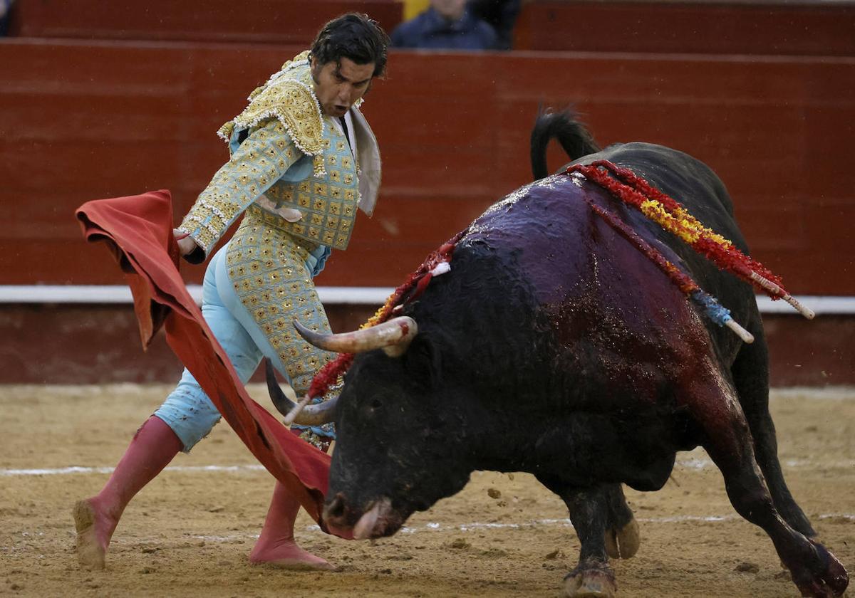 El diestro, Morante de la Puebla, da un pase a su segundo astado durante la corrida de toros de la Feria de Fallas.