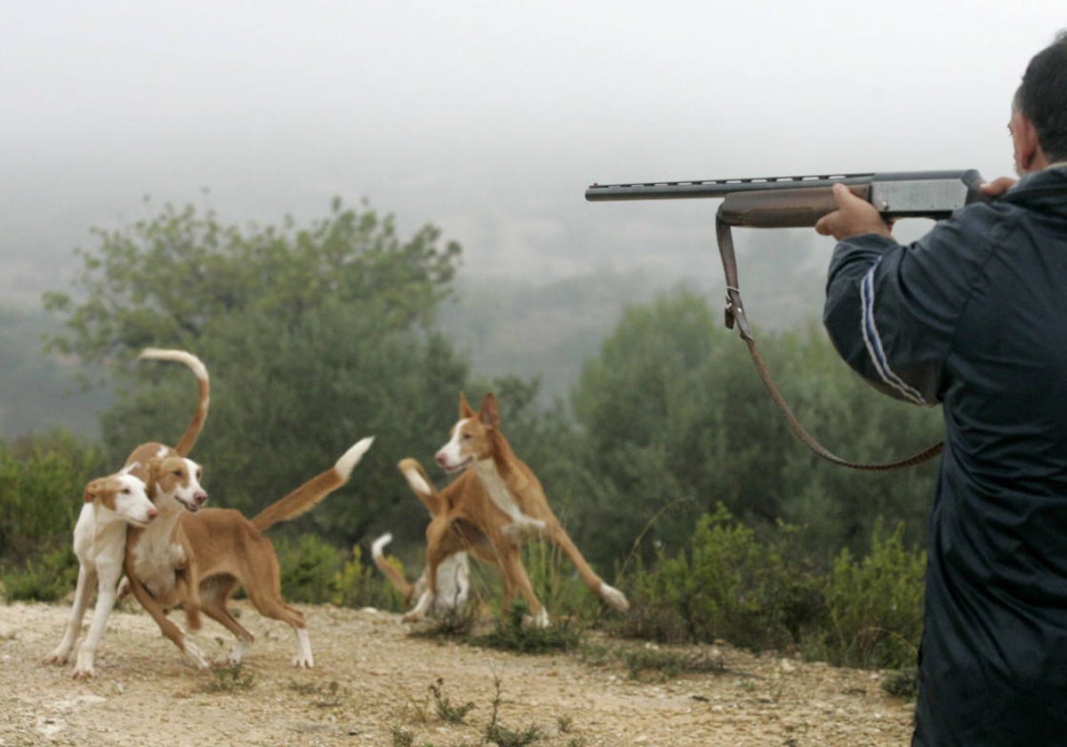 Un cazador con sus perros.