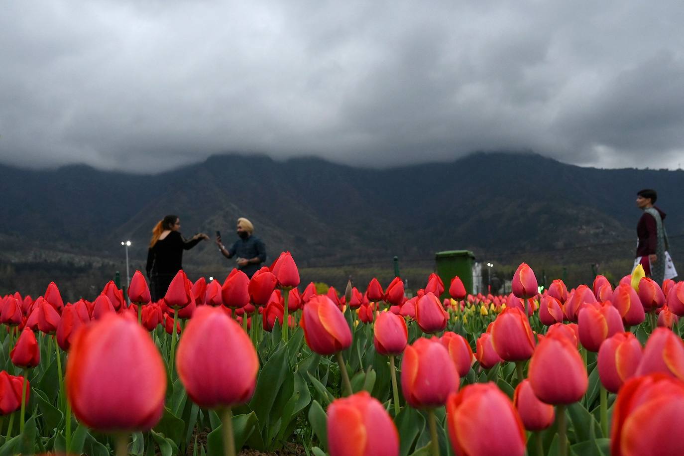 Espectáculo de color en el jardín de tulipanes más grande de Asia