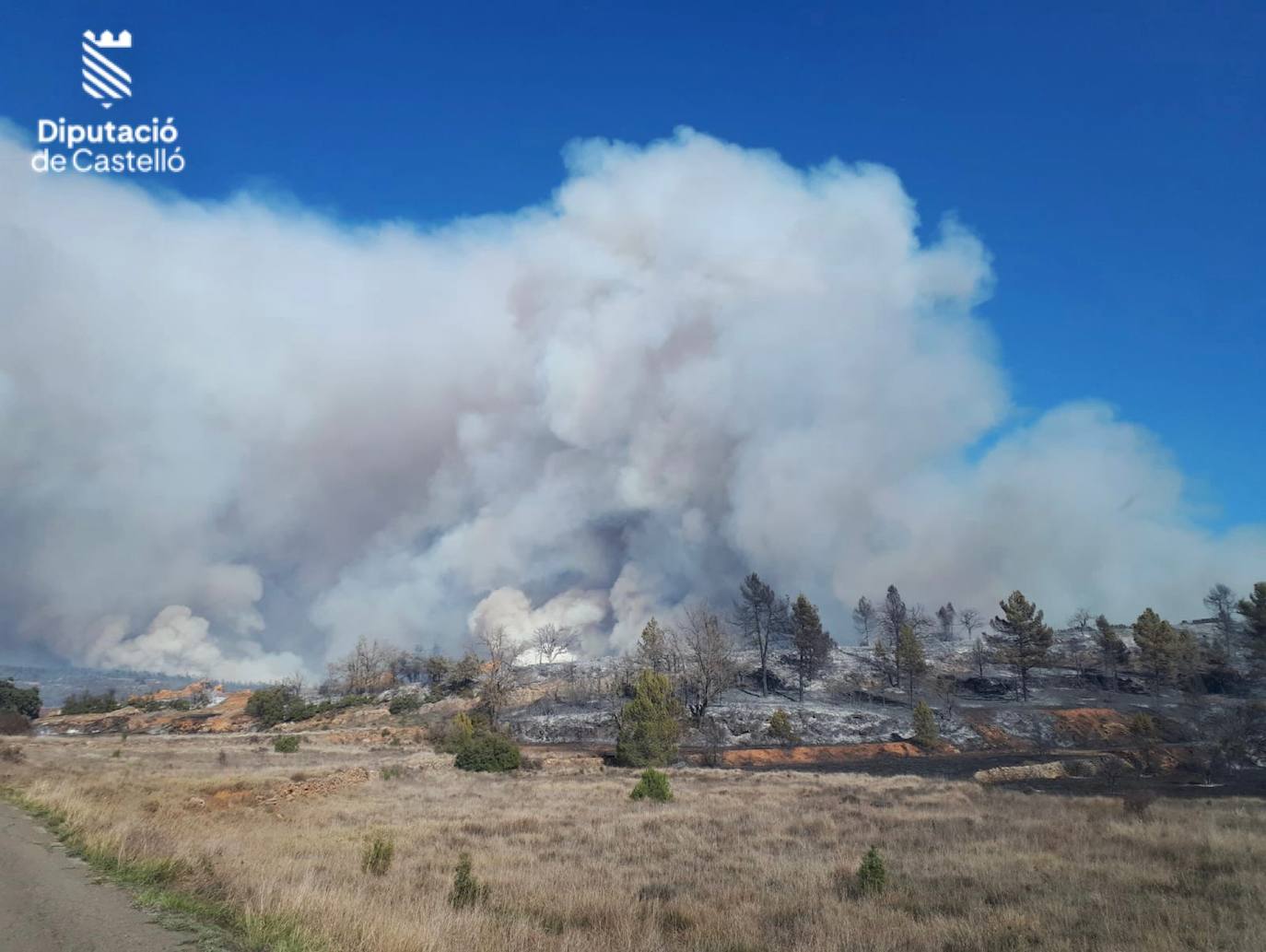 Incendio forestal en Villanueva de Viver