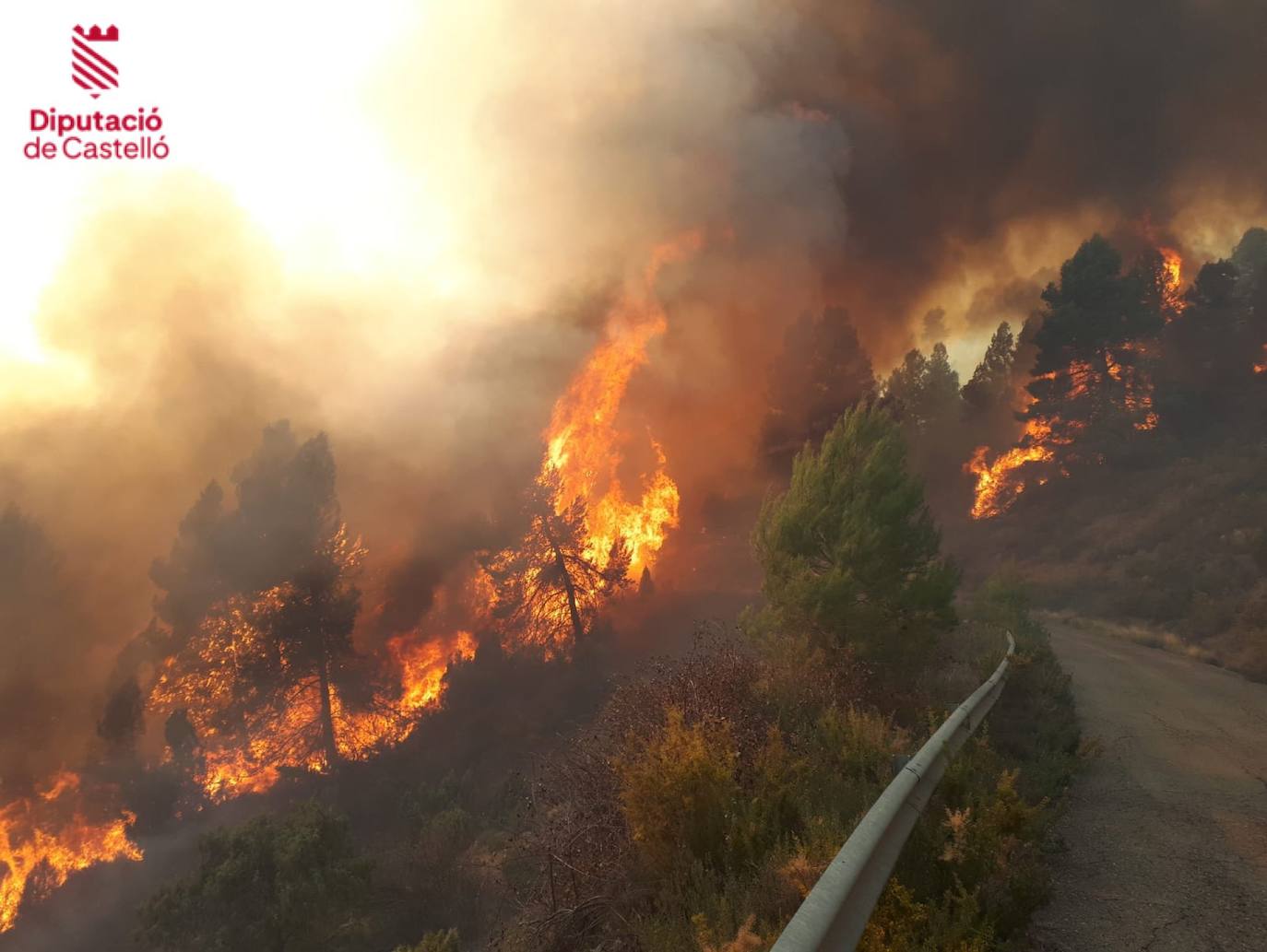 Incendio forestal en Villanueva de Viver