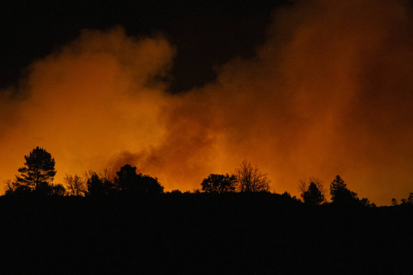 Incendio forestal en Villanueva de Viver