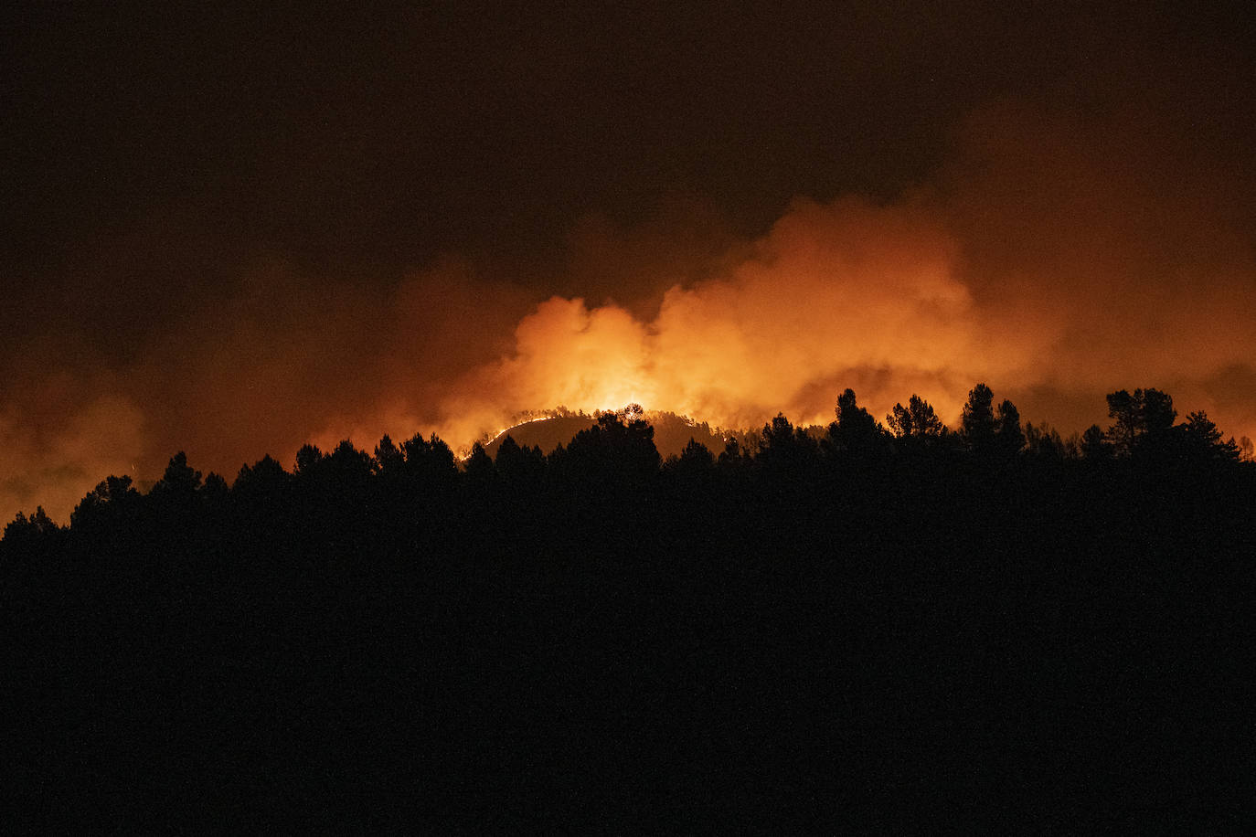 Incendio forestal en Villanueva de Viver