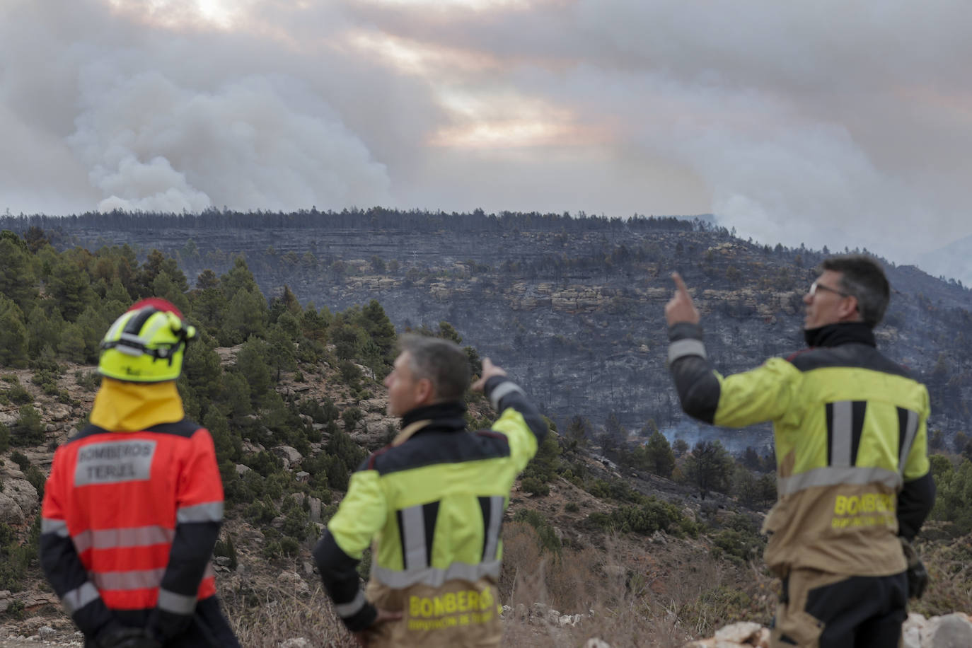 Incendio forestal en Villanueva de Viver