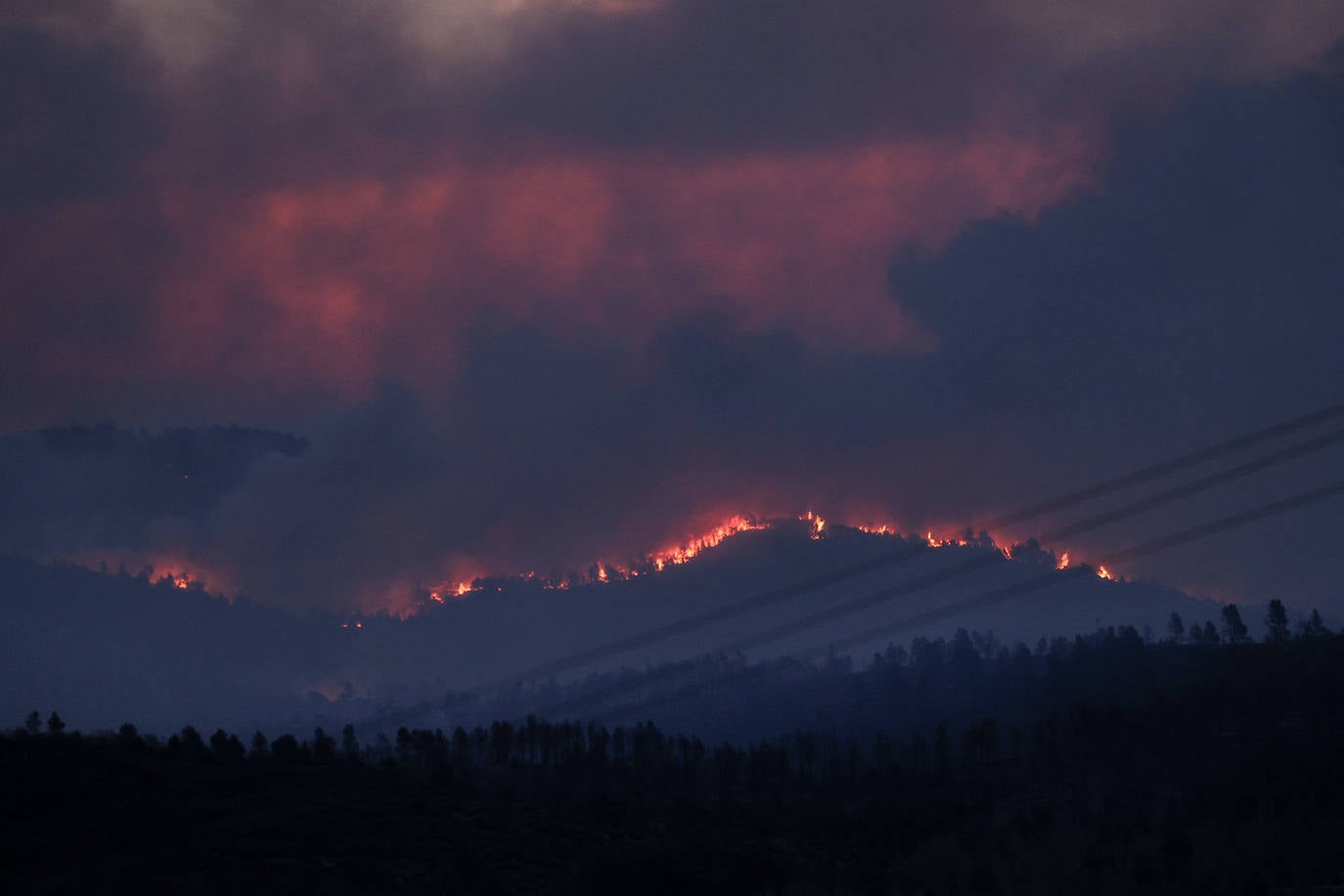 Incendio forestal en Villanueva de Viver