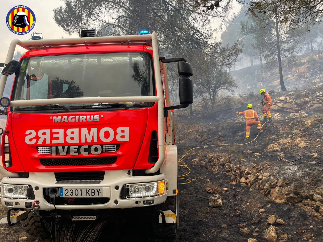 Incendio forestal en Villanueva de Viver