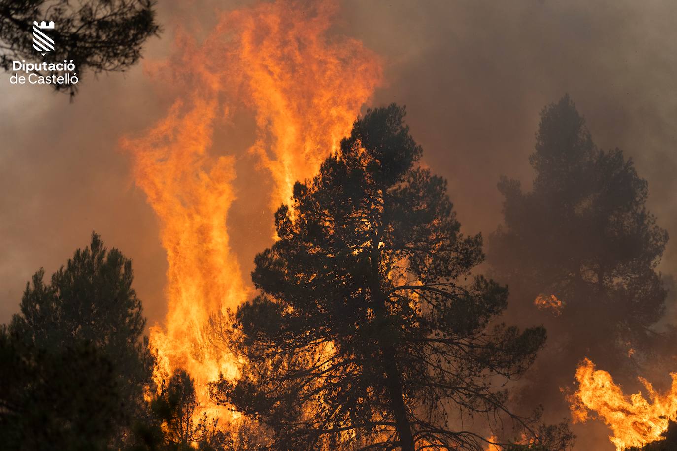 Incendio forestal en Villanueva de Viver