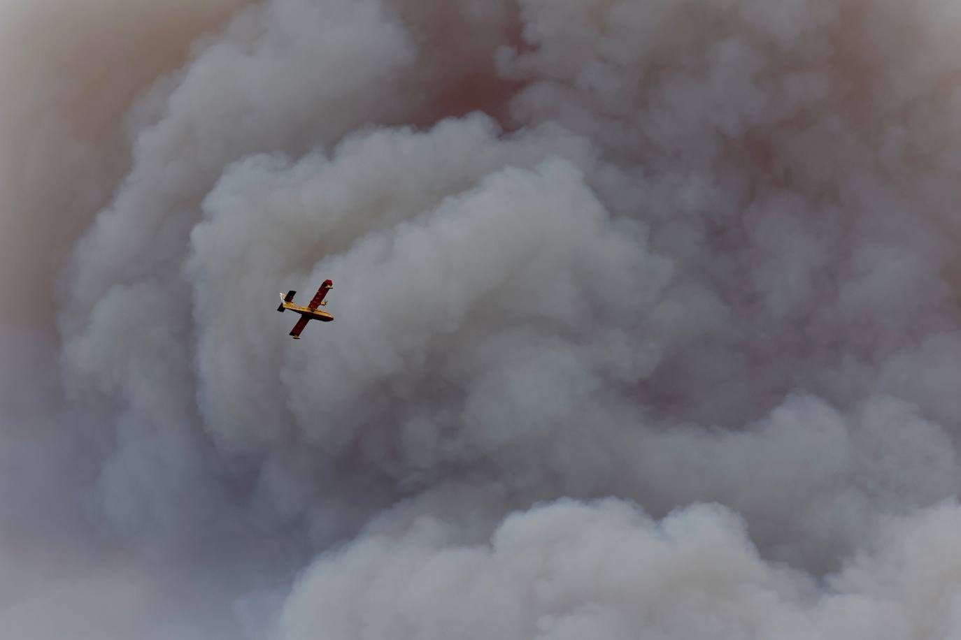 Incendio forestal en Villanueva de Viver