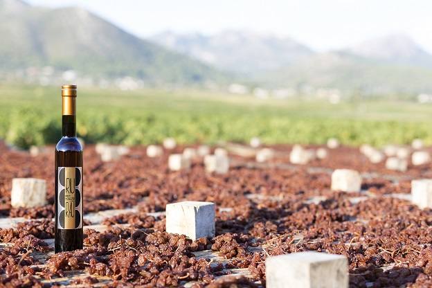 Bodegas Xaló, la cuna del Moscatel