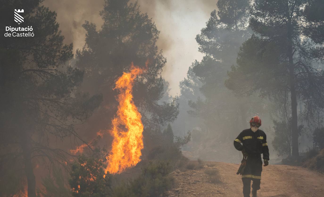 Incendio forestal en Villanueva de Viver