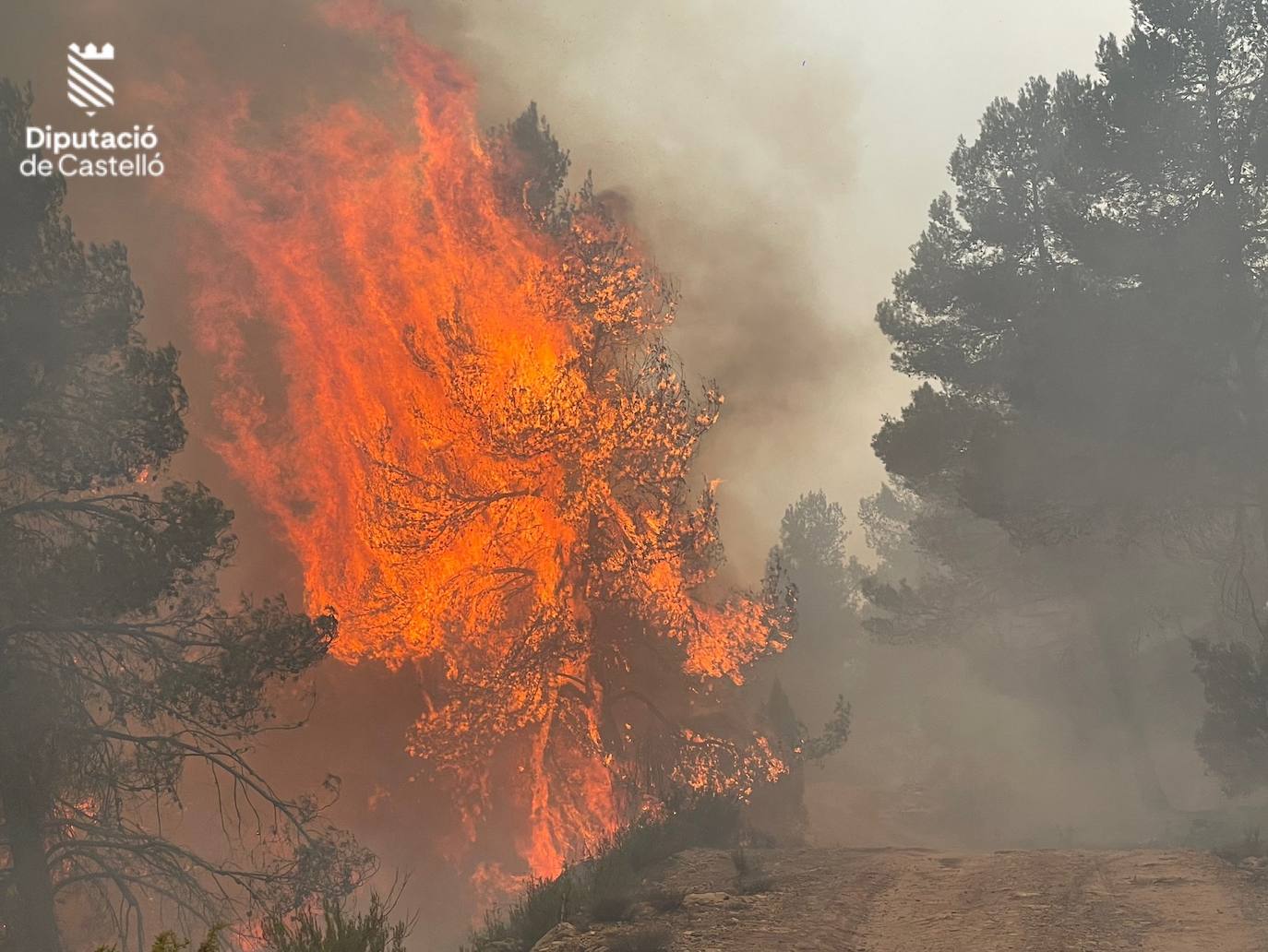 Incendio forestal en Villanueva de Viver