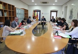 Un pleno del Consell en la actual legislatura.