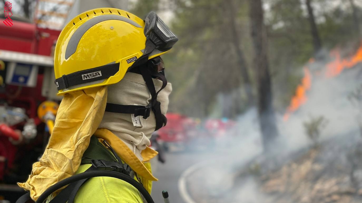 Incendio forestal en Villanueva de Viver