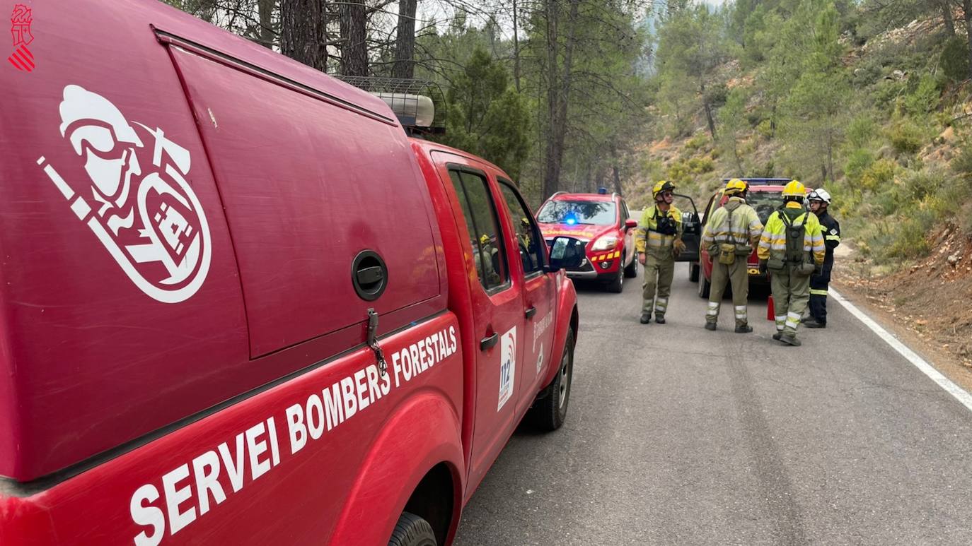 Incendio forestal en Villanueva de Viver