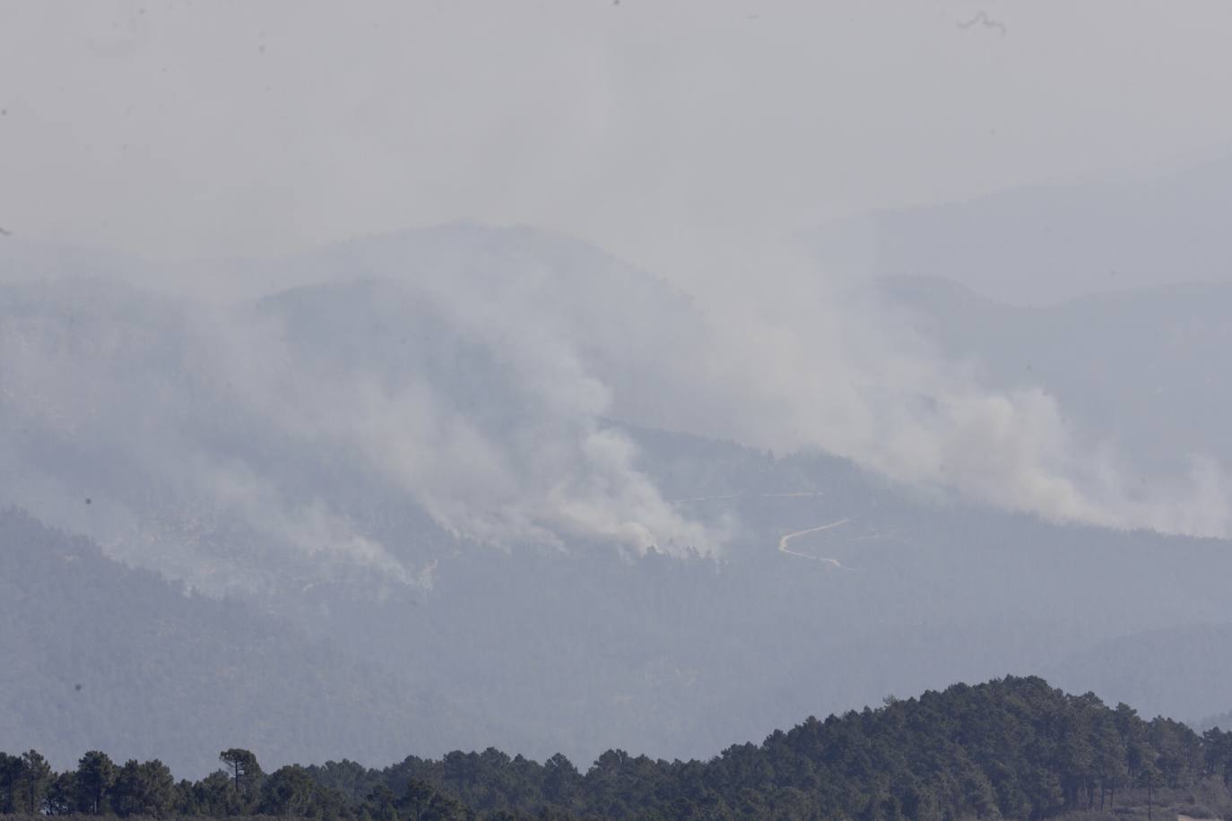 Incendio forestal en Villanueva de Viver