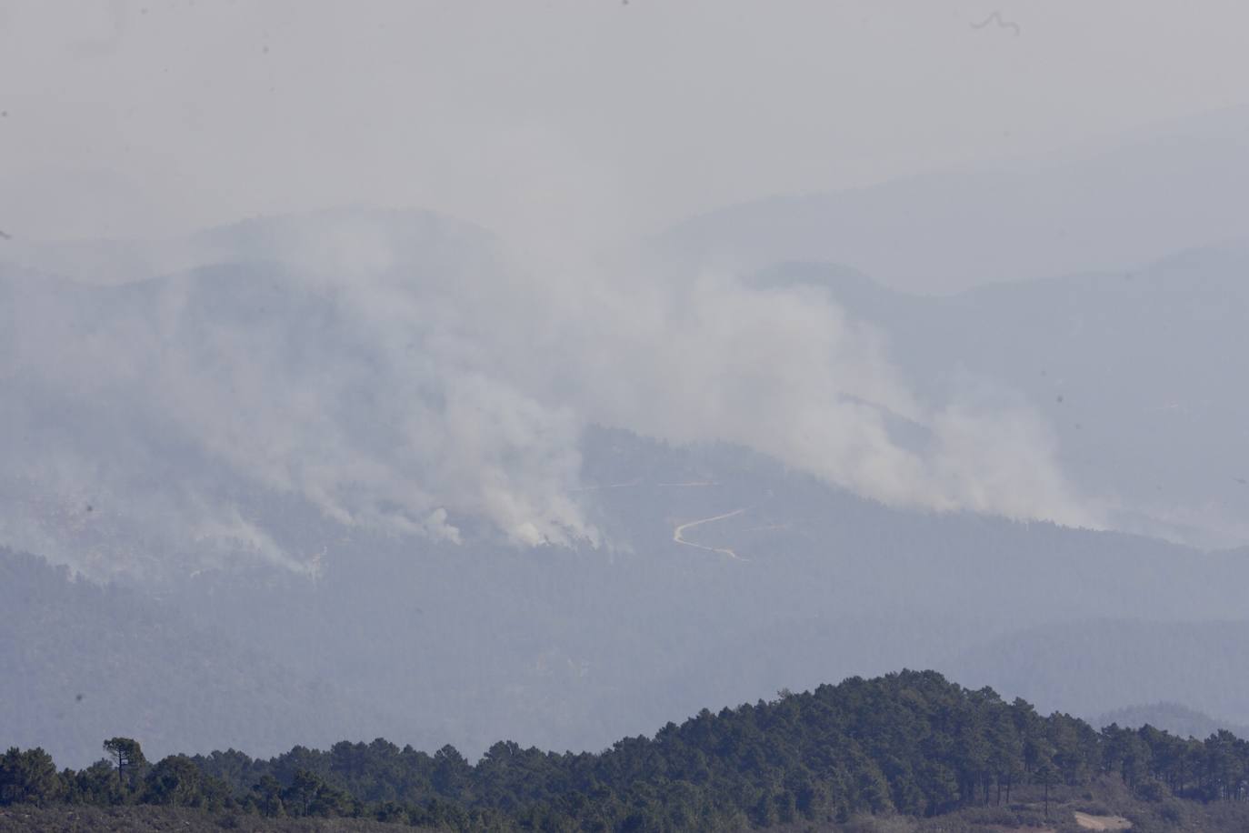 Incendio forestal en Villanueva de Viver