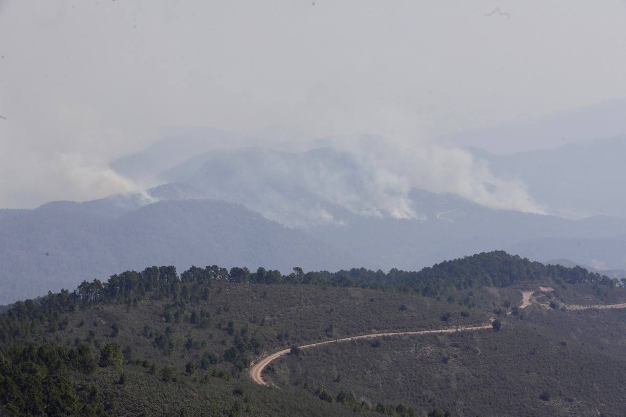 Incendio forestal en Villanueva de Viver