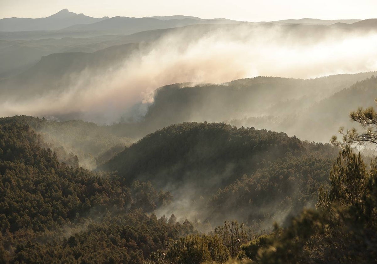 La zona afectada por el fuego, a primera hora de este sábado.