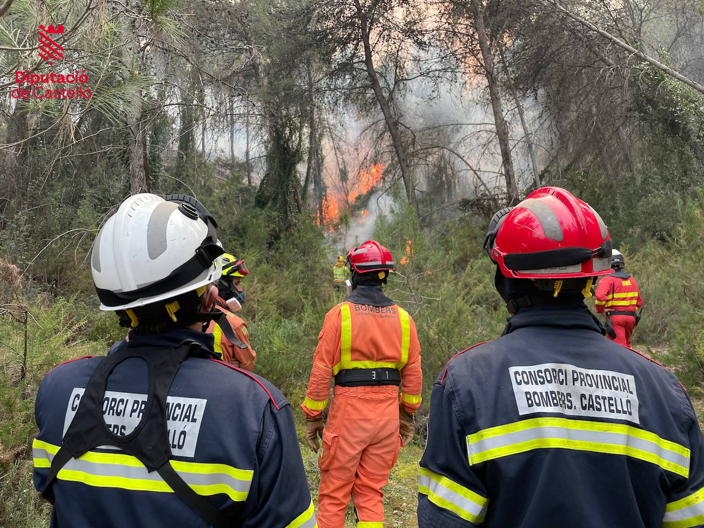 Incendio forestal en Villanueva de Viver