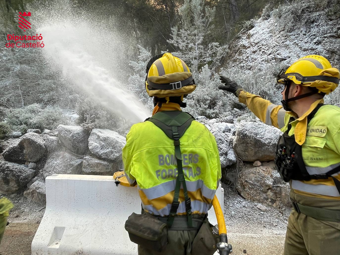 Incendio forestal en Villanueva de Viver