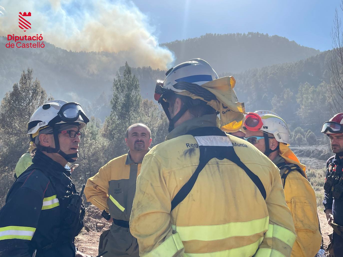 Incendio forestal en Villanueva de Viver