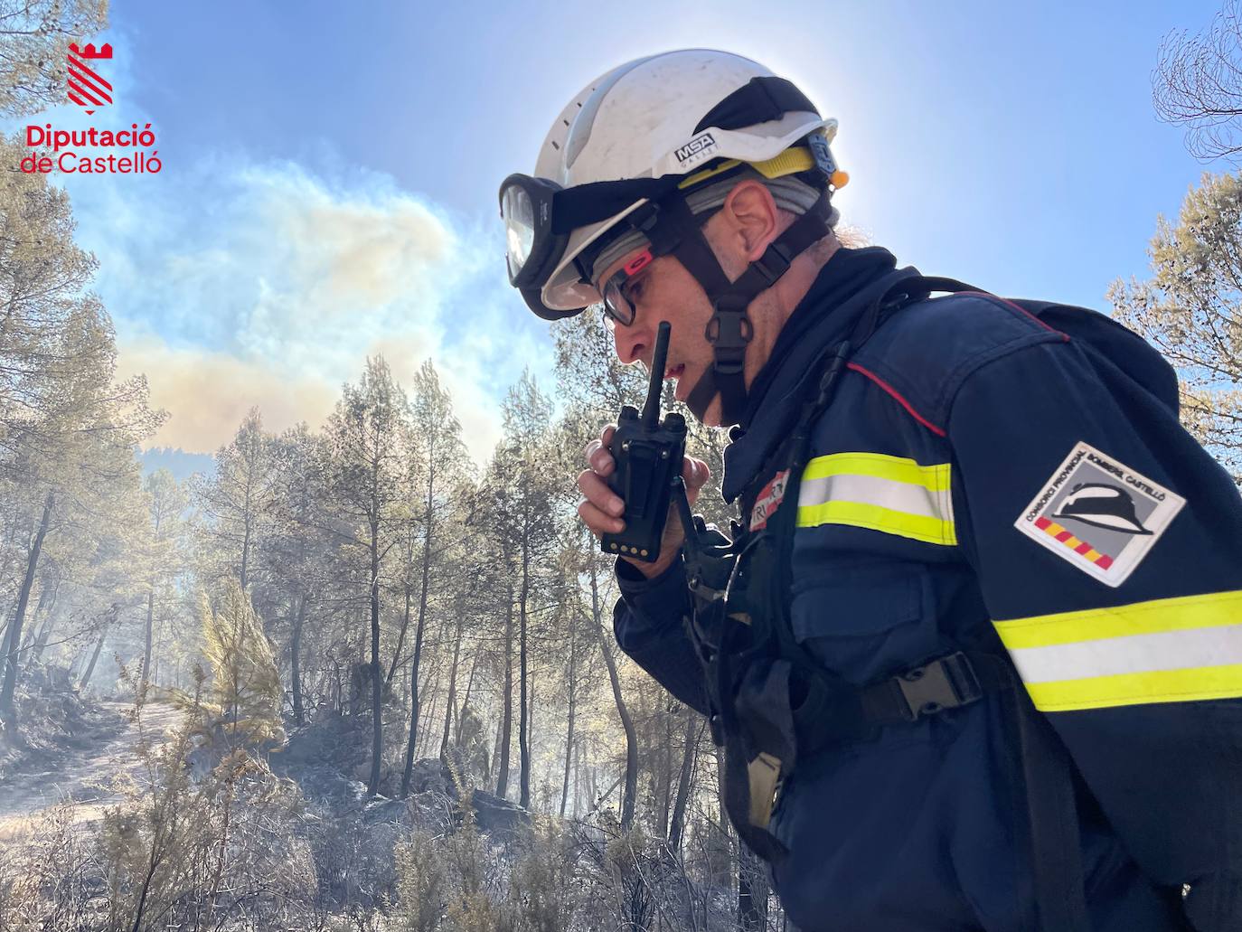 Incendio forestal en Villanueva de Viver