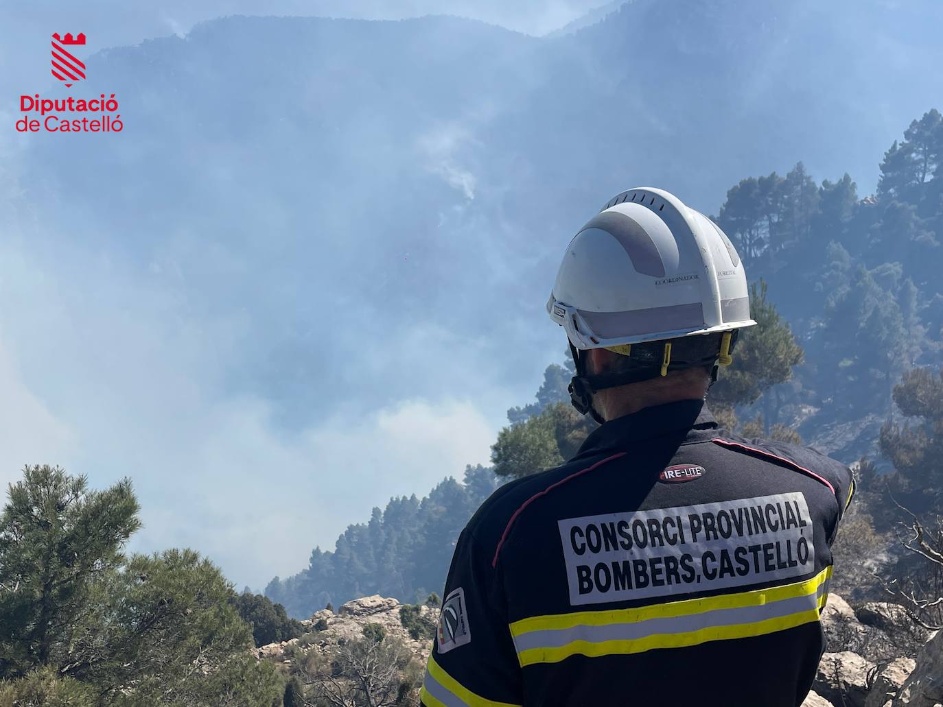 Incendio forestal en Villanueva de Viver