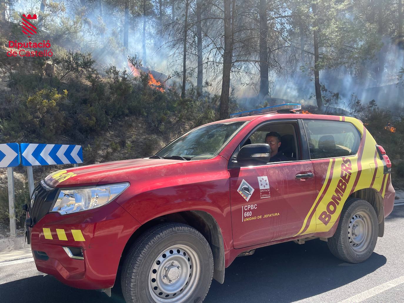 Incendio forestal en Villanueva de Viver