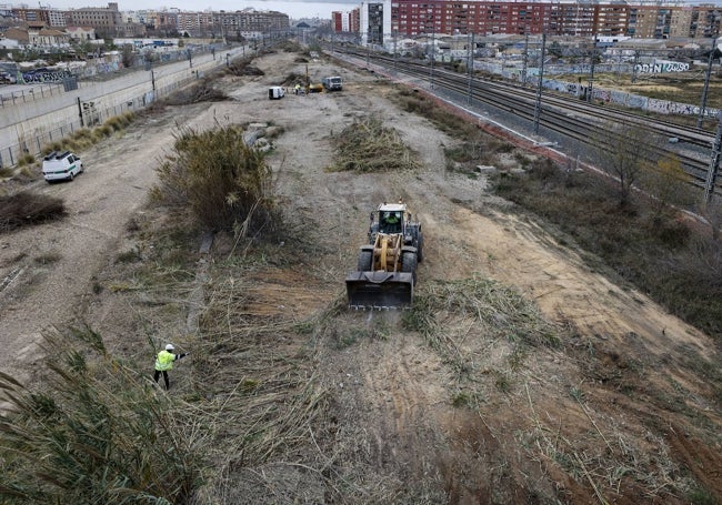 Trabajos de desbroce en la zona del Canal de Acceso, pendiente de actuación.