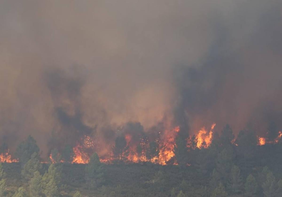 Imágenes de este lunes en una de las zonas del incendio forestal.