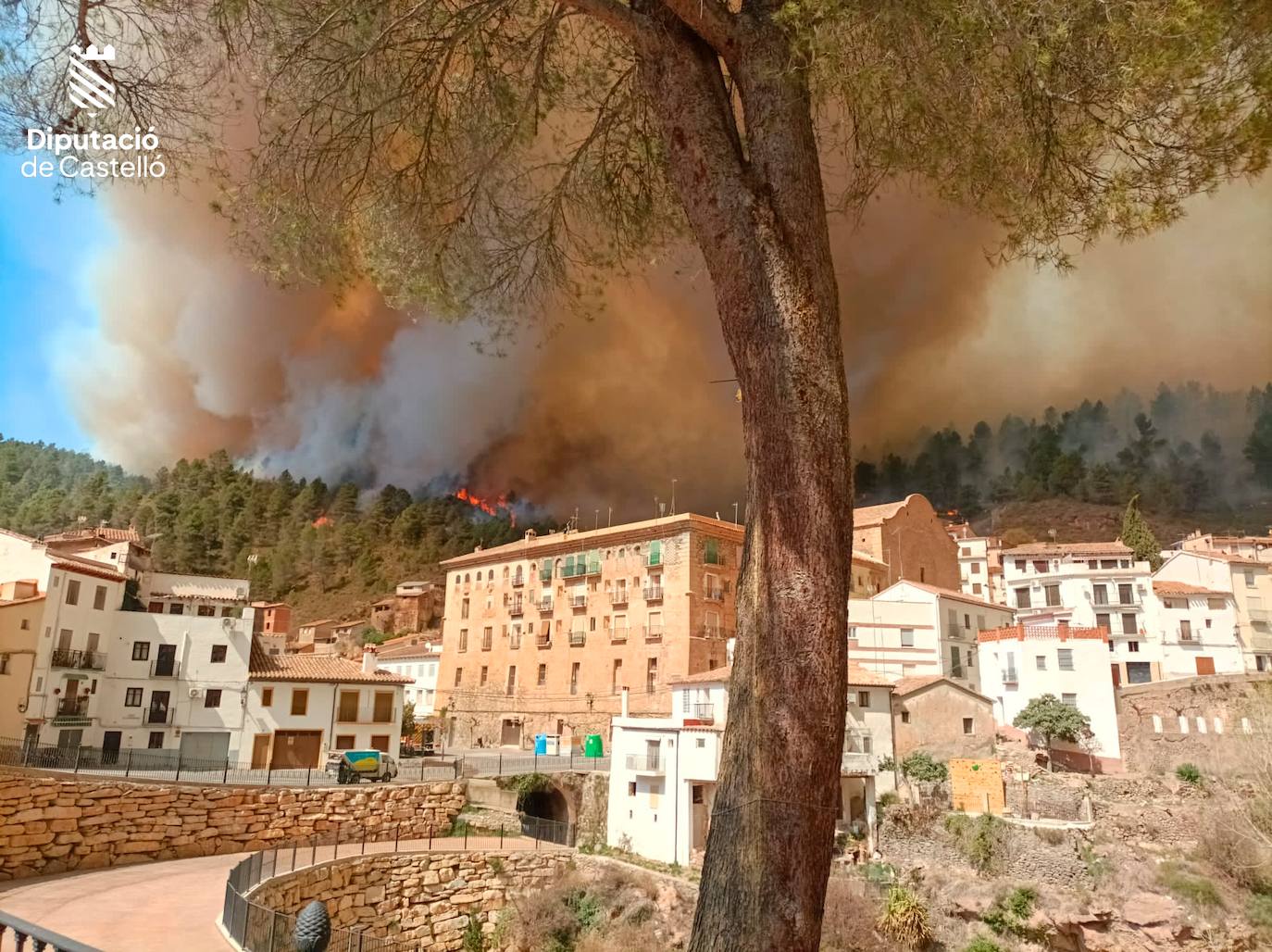 Incendio forestal en Villanueva de Viver