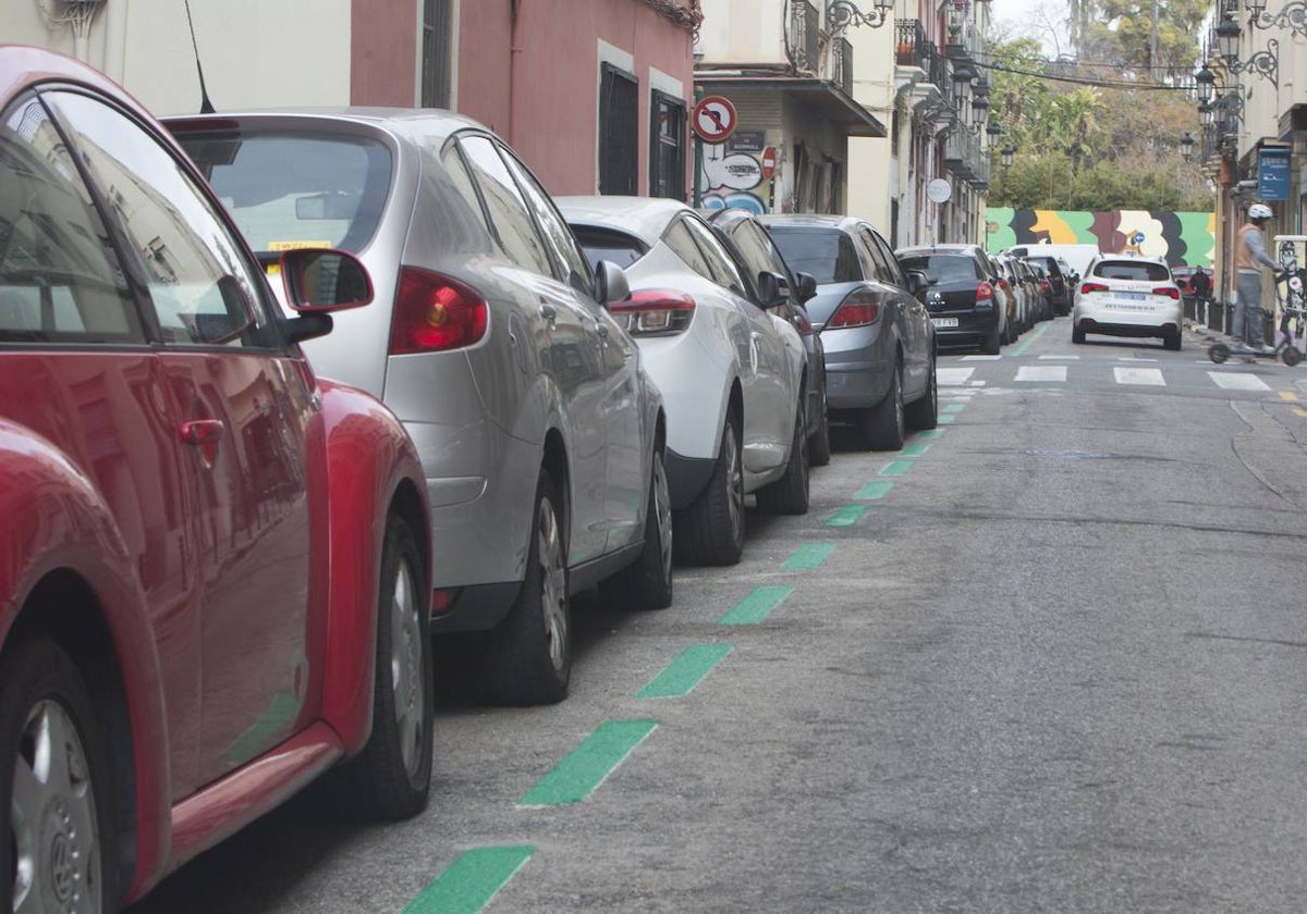 Zona verde de aparcamiento en el Botánico.