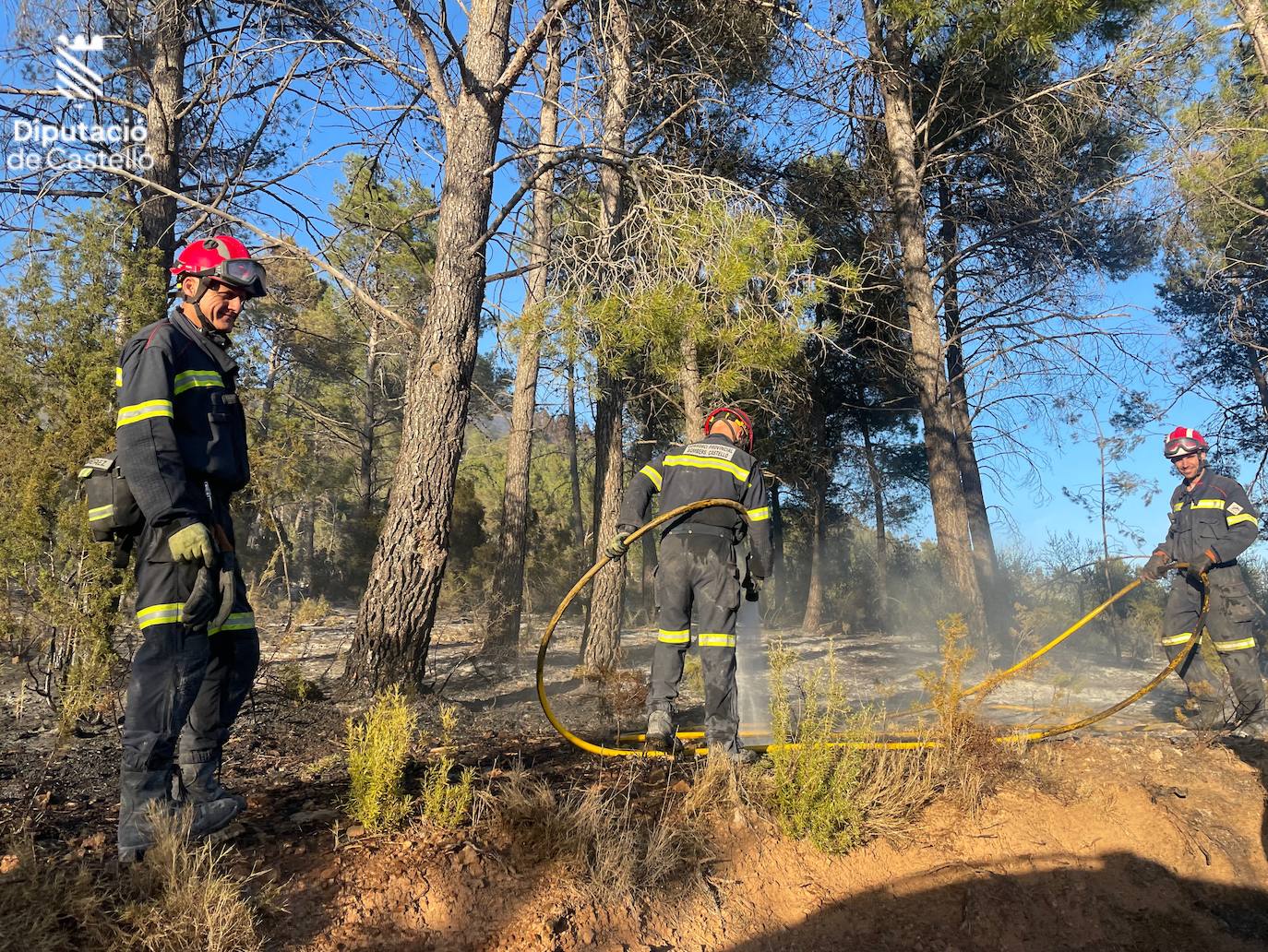 Incendio forestal en Villanueva de Viver