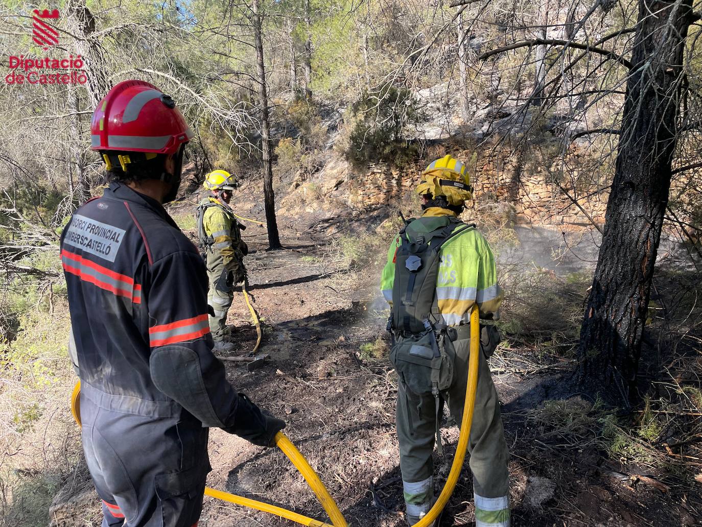 Incendio forestal en Villanueva de Viver