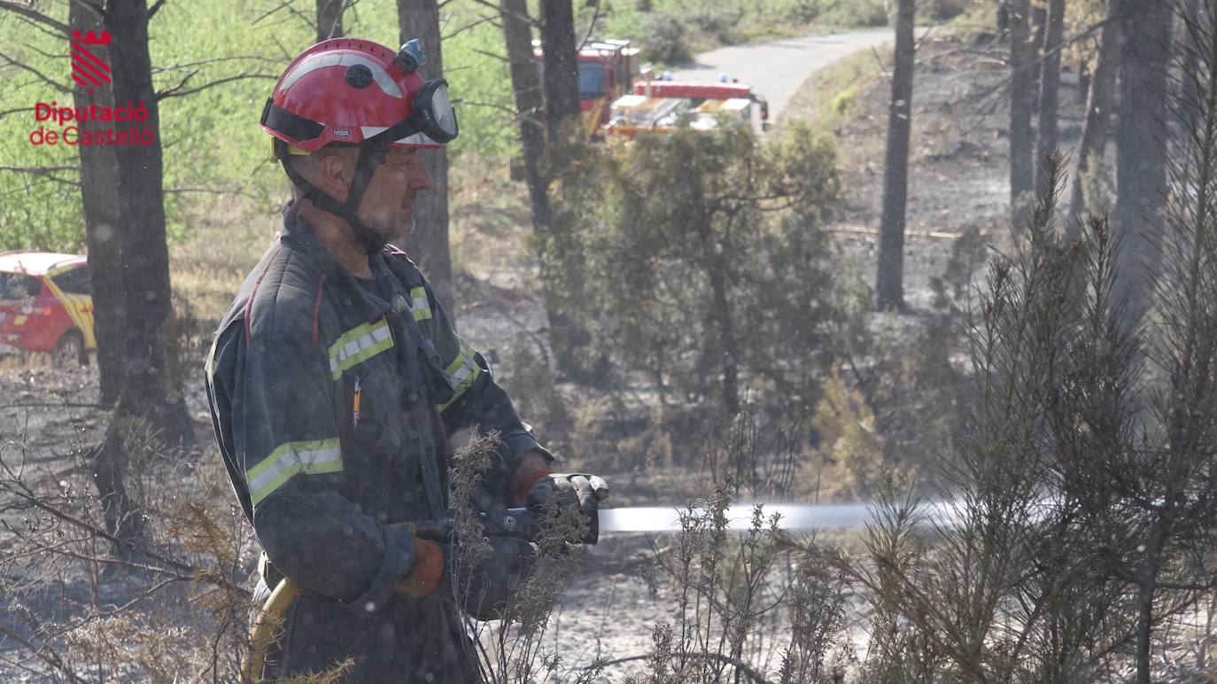 Incendio forestal en Villanueva de Viver