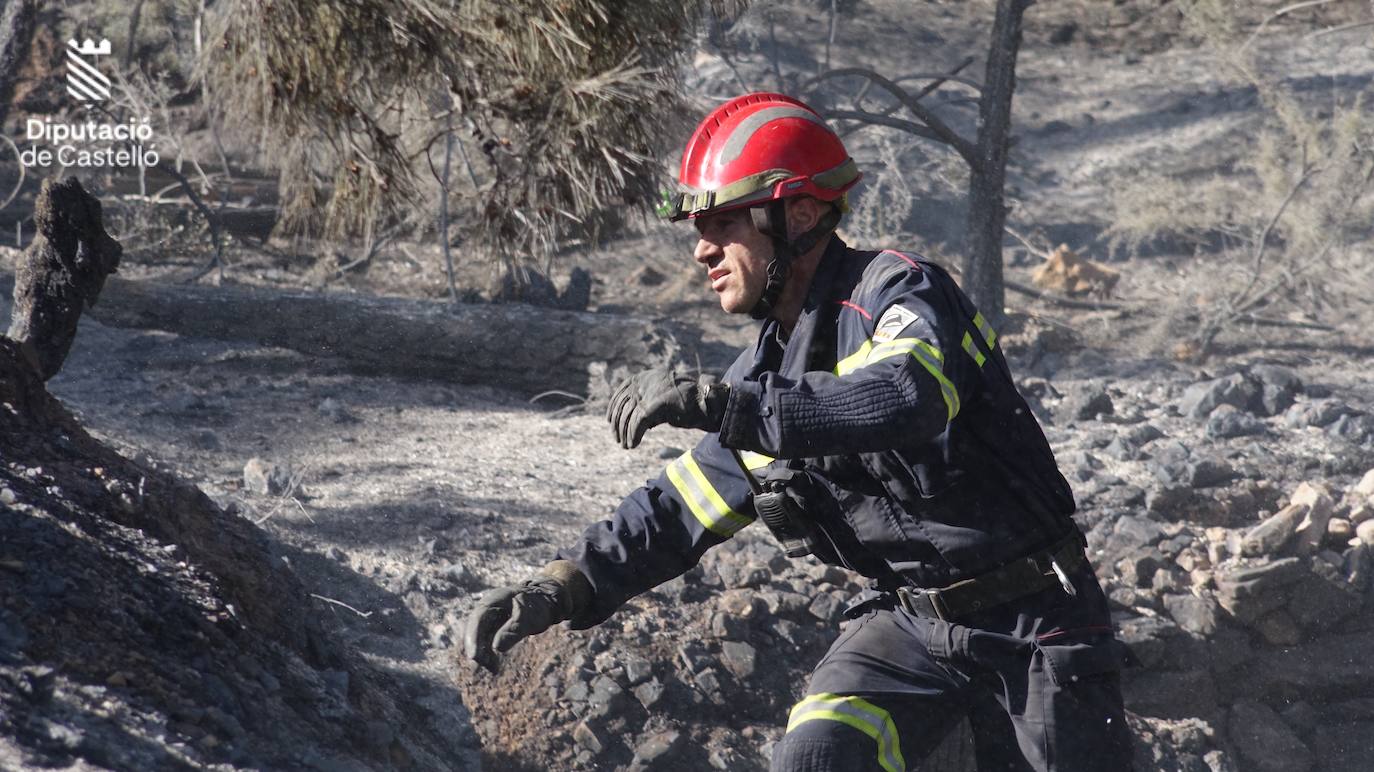 Incendio forestal en Villanueva de Viver