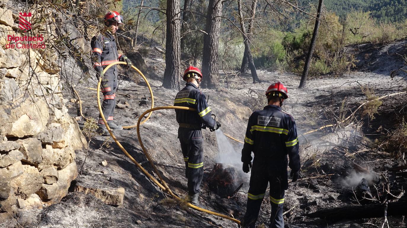 Incendio forestal en Villanueva de Viver