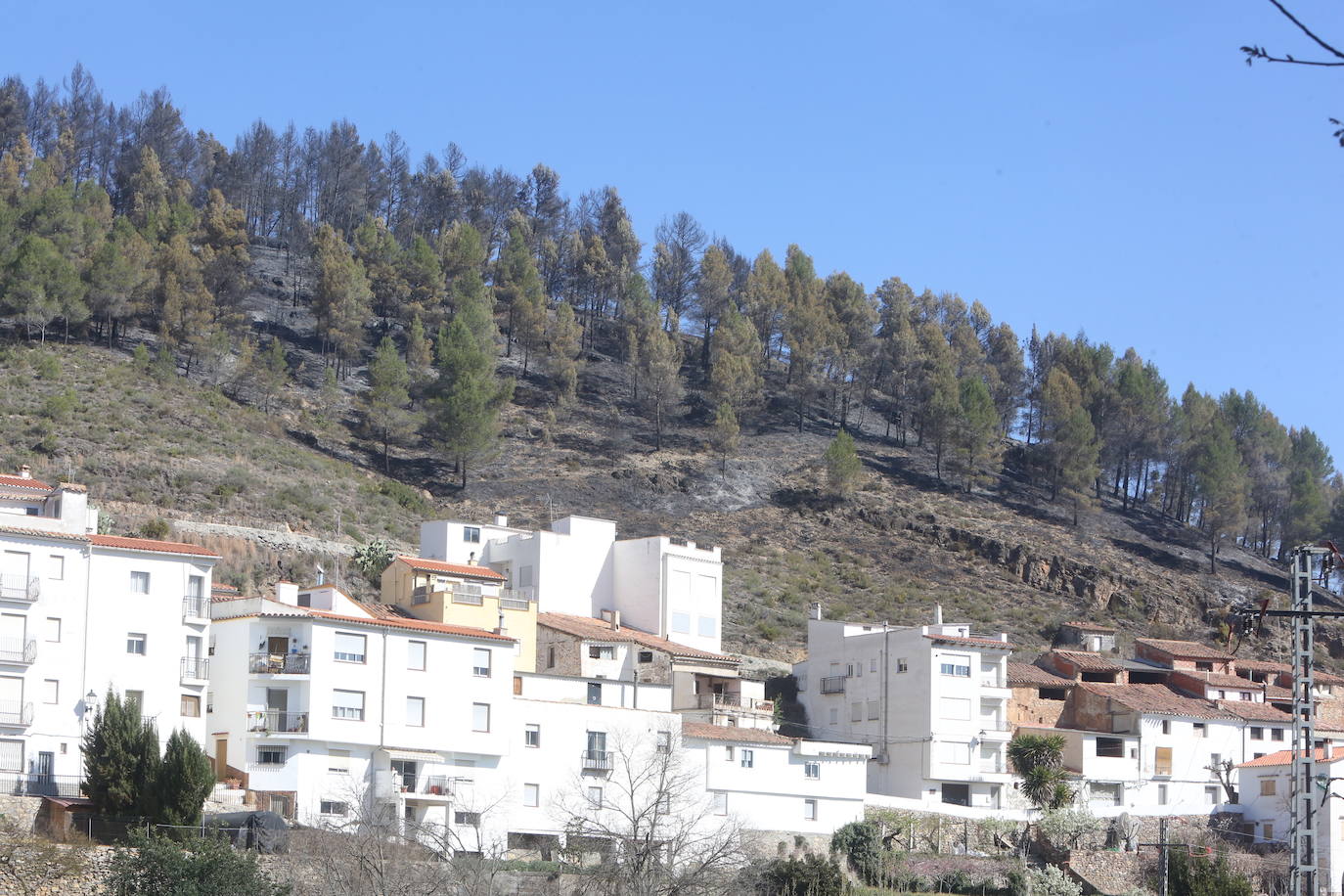 Incendio forestal en Villanueva de Viver