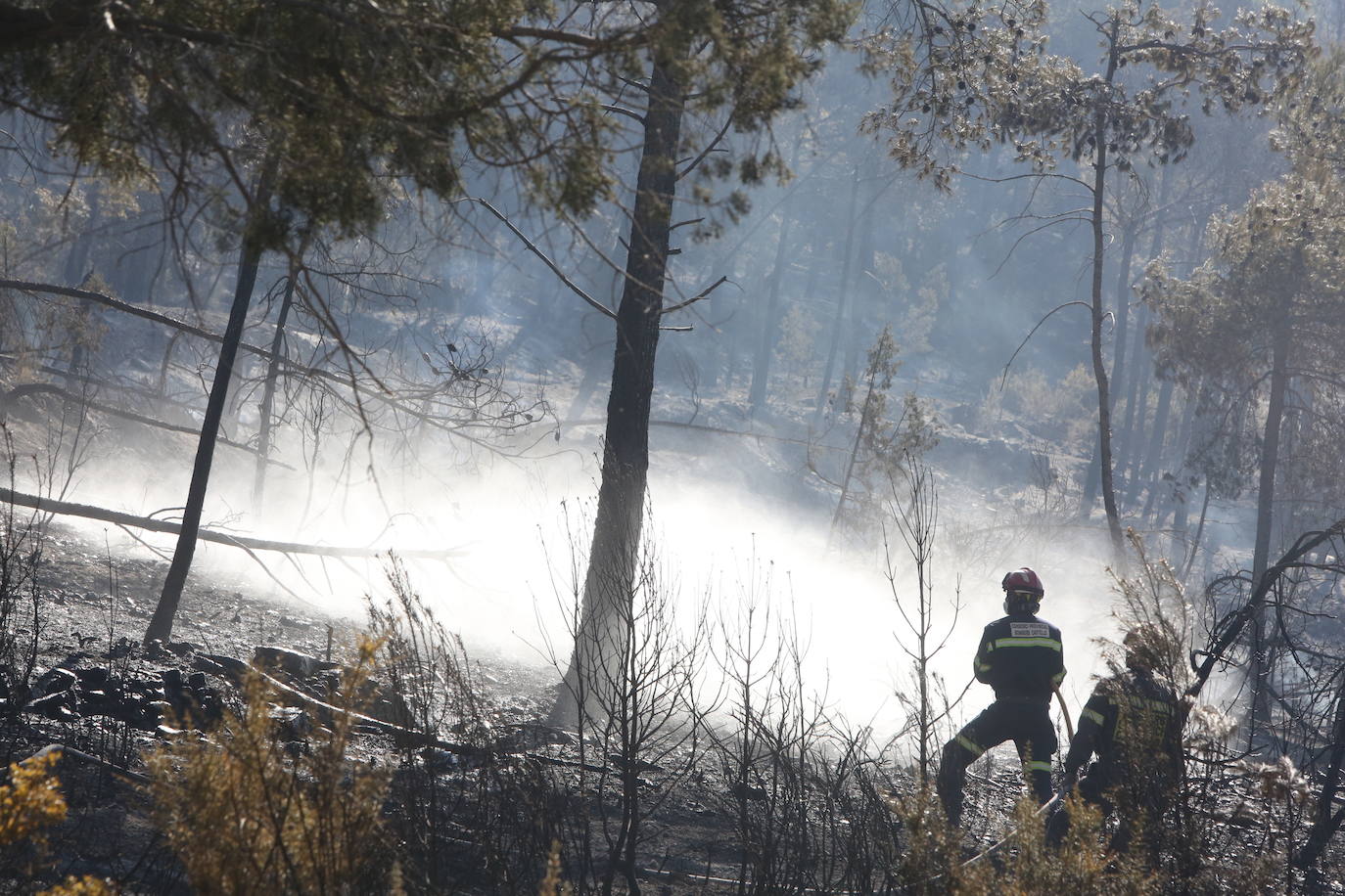 Incendio forestal en Villanueva de Viver