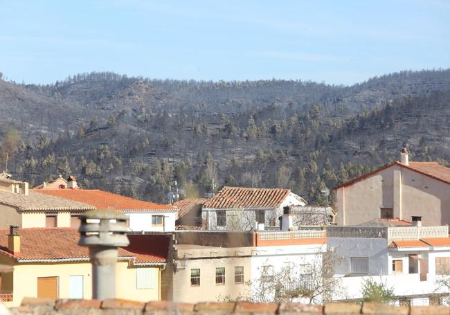 Monte quemado en las inmediaciones de Montán.