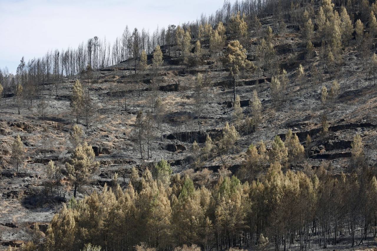 Montán, arrasado por las llamas del incendio en Castellón