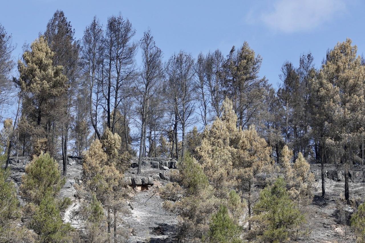 Montán, arrasado por las llamas del incendio en Castellón