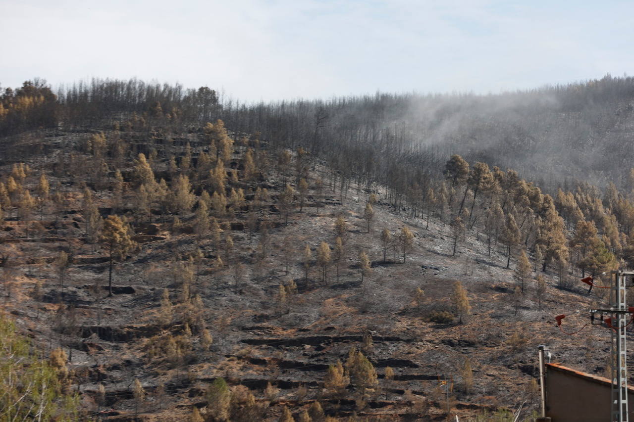 Montán, arrasado por las llamas del incendio en Castellón