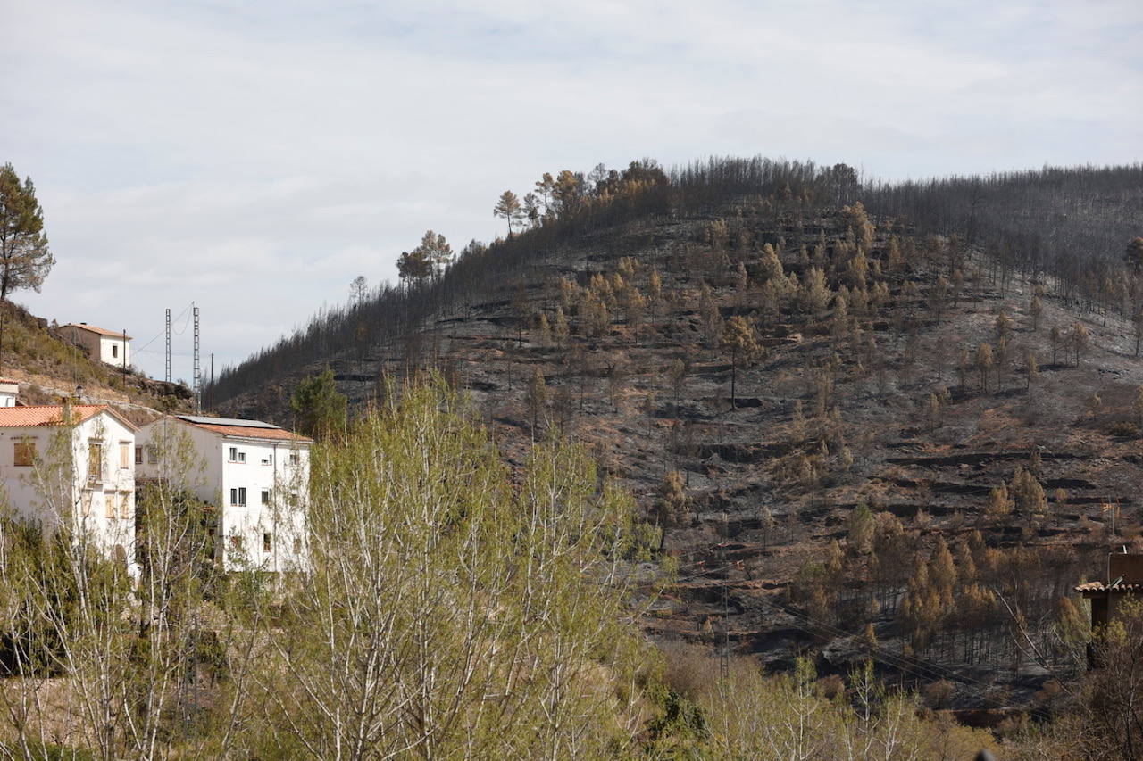 Montán, arrasado por las llamas del incendio en Castellón