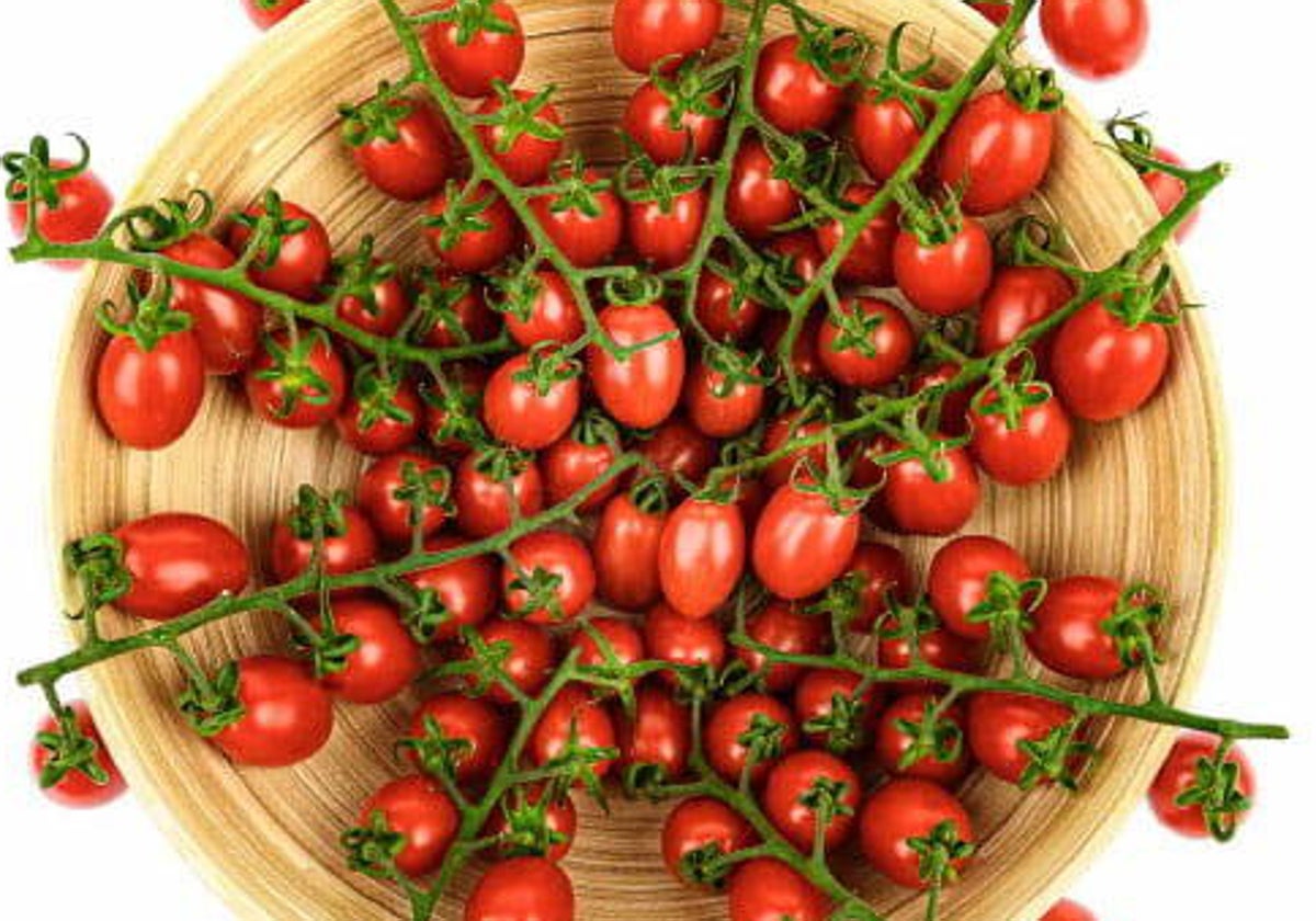 Tomate Cherry Lobello.