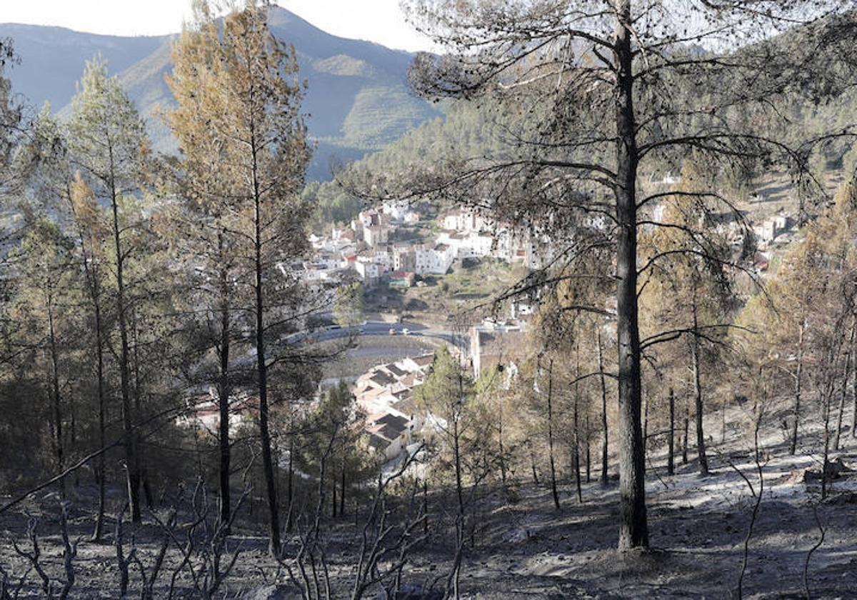 Paraje en Montán afectado por el fuego.