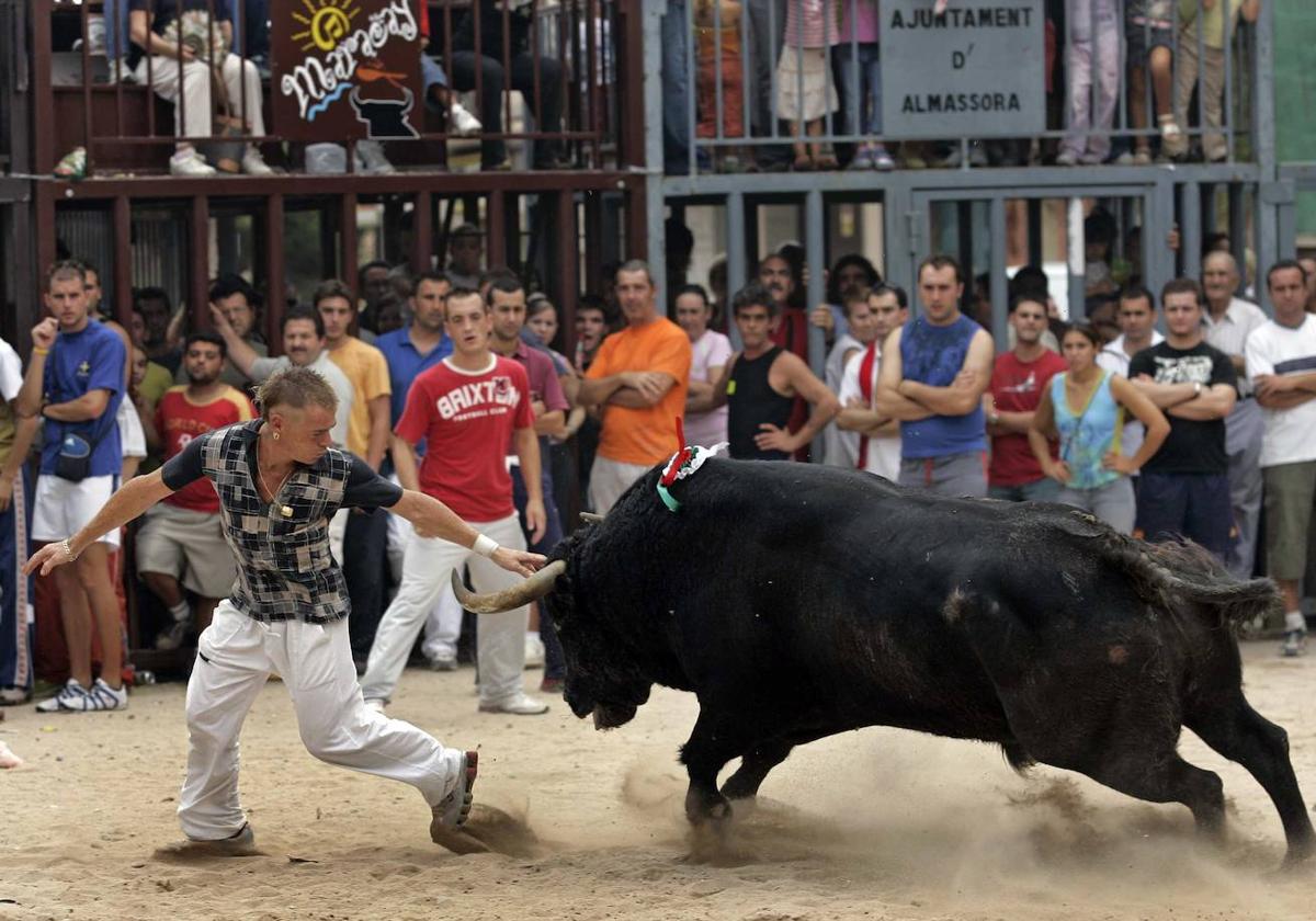 Imagen de archivo de unos bous al carrer en la Comunitat.