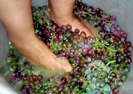 Imagen secundaria 1 - Los bodegueros valencianos que han redescubierto un vino gris en peligro de extinción